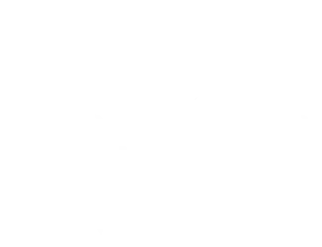 Super Besse
