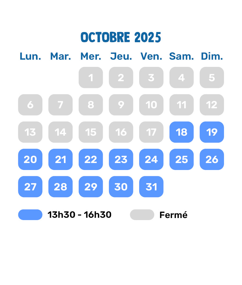 Calendriers_Activites_Ete2025_luge_été_MAJ